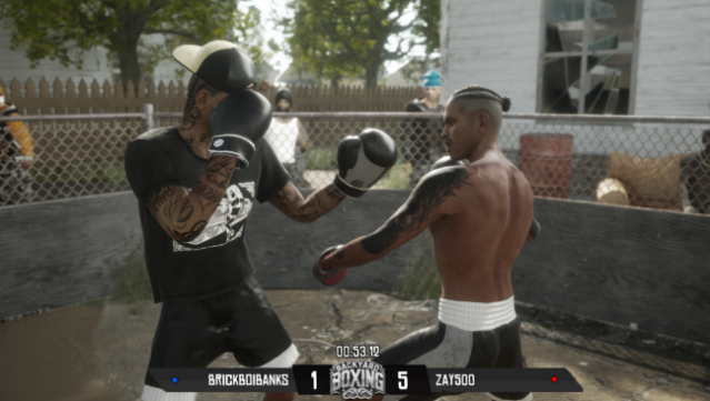 Backyard Boxing PC Screenshot
